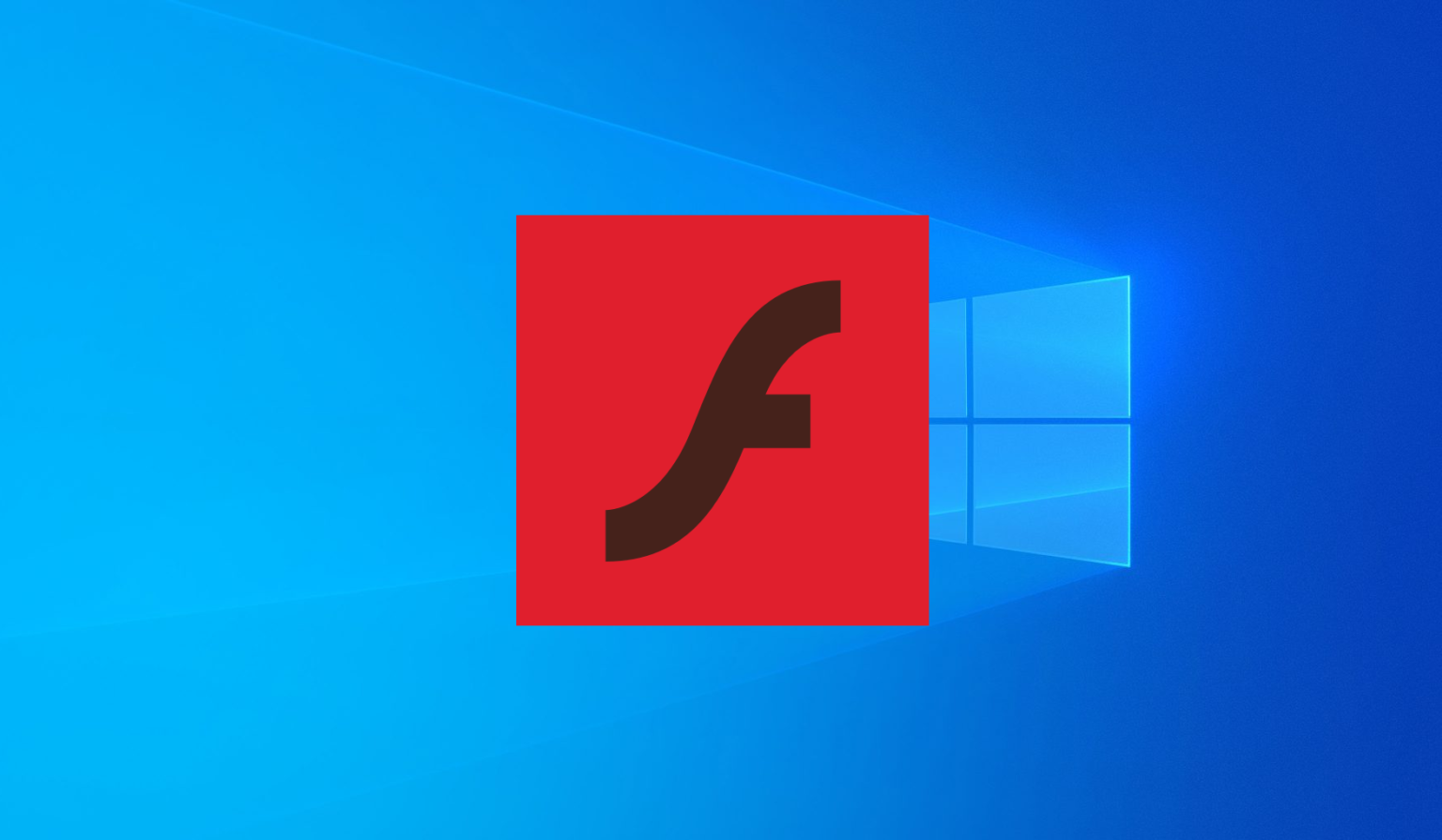 should i download flash player for windows should i download flash player for windows