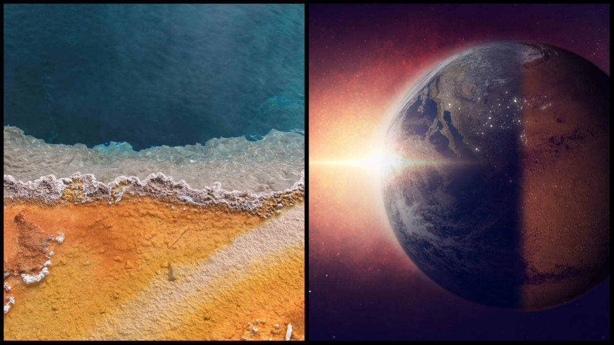 Na ľavej strane sa nachádza pláž, na pravej strane koláže sa nachádza planéta, ktorá z jednej polovice prekvitá životom podobne ako Zem, no na druhej strane je pustá ako Mars.