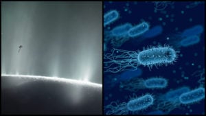 enceladus život