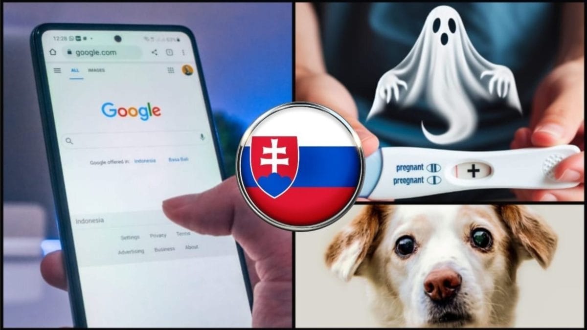 Google vyhľadávanie Slováci grafika bizarnosti