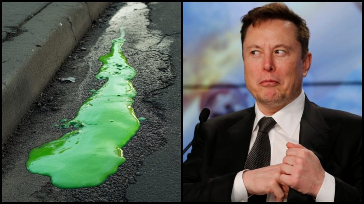 Tesla fabrika Musk zelená tekutina