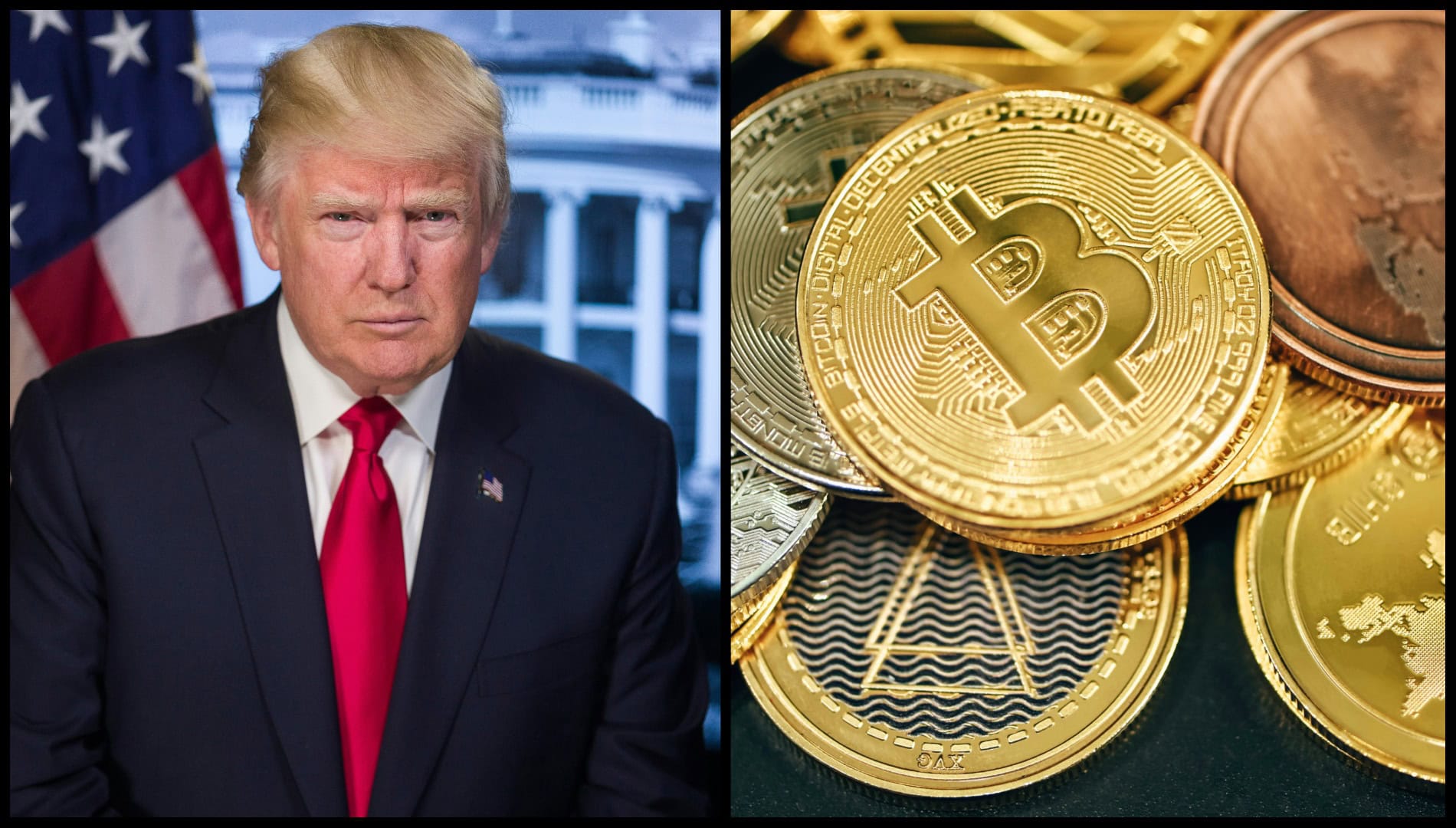 Donald Trump, bitcoin