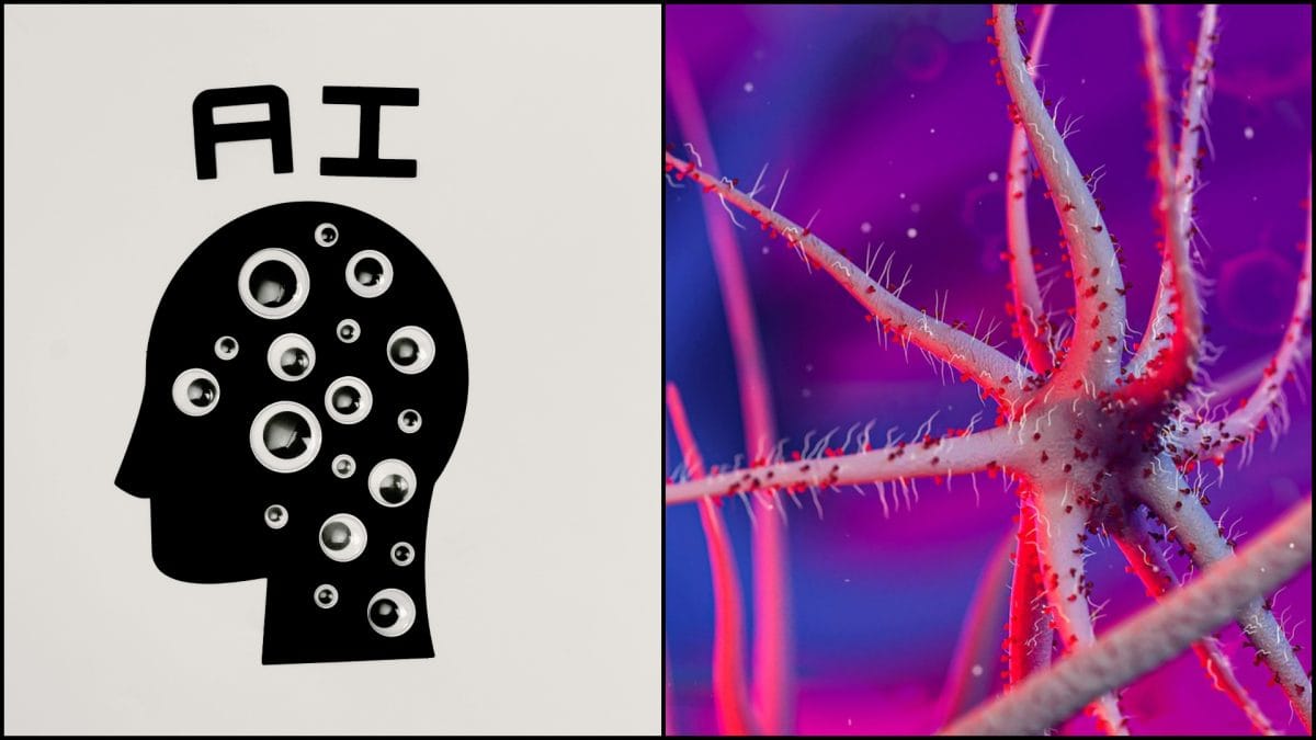 AI, vírus, diagnostika