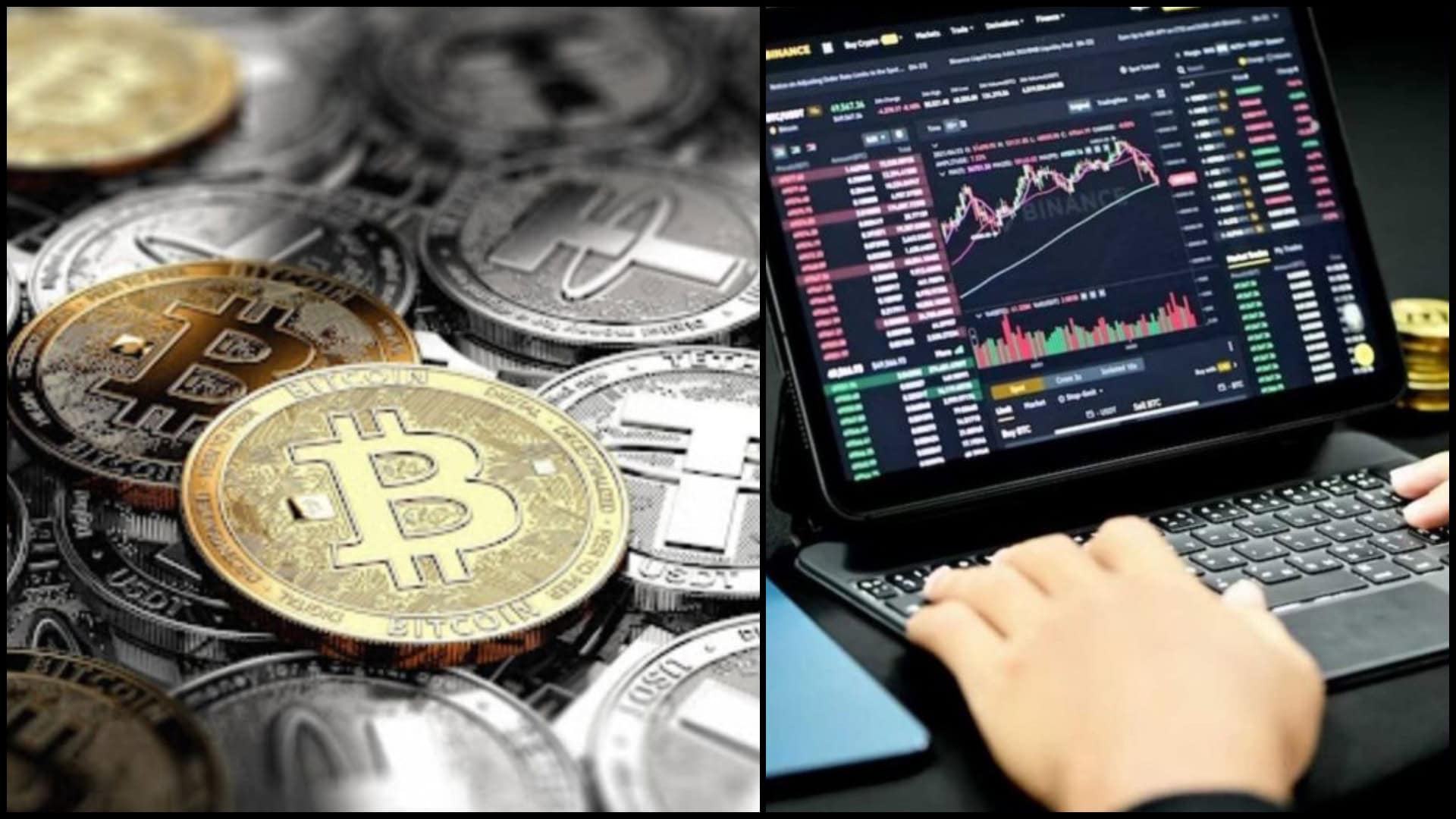 kryptomeny 2024 prognózy