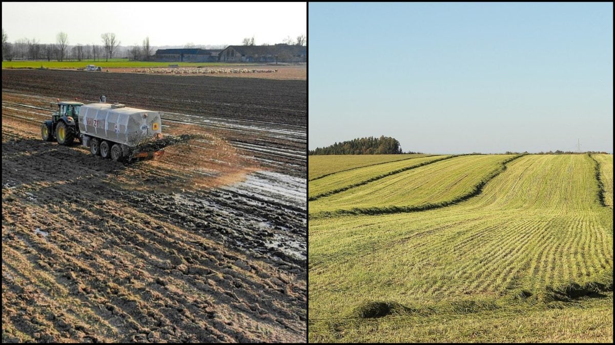 poľnohospodárstvo, hnojivo, traktor