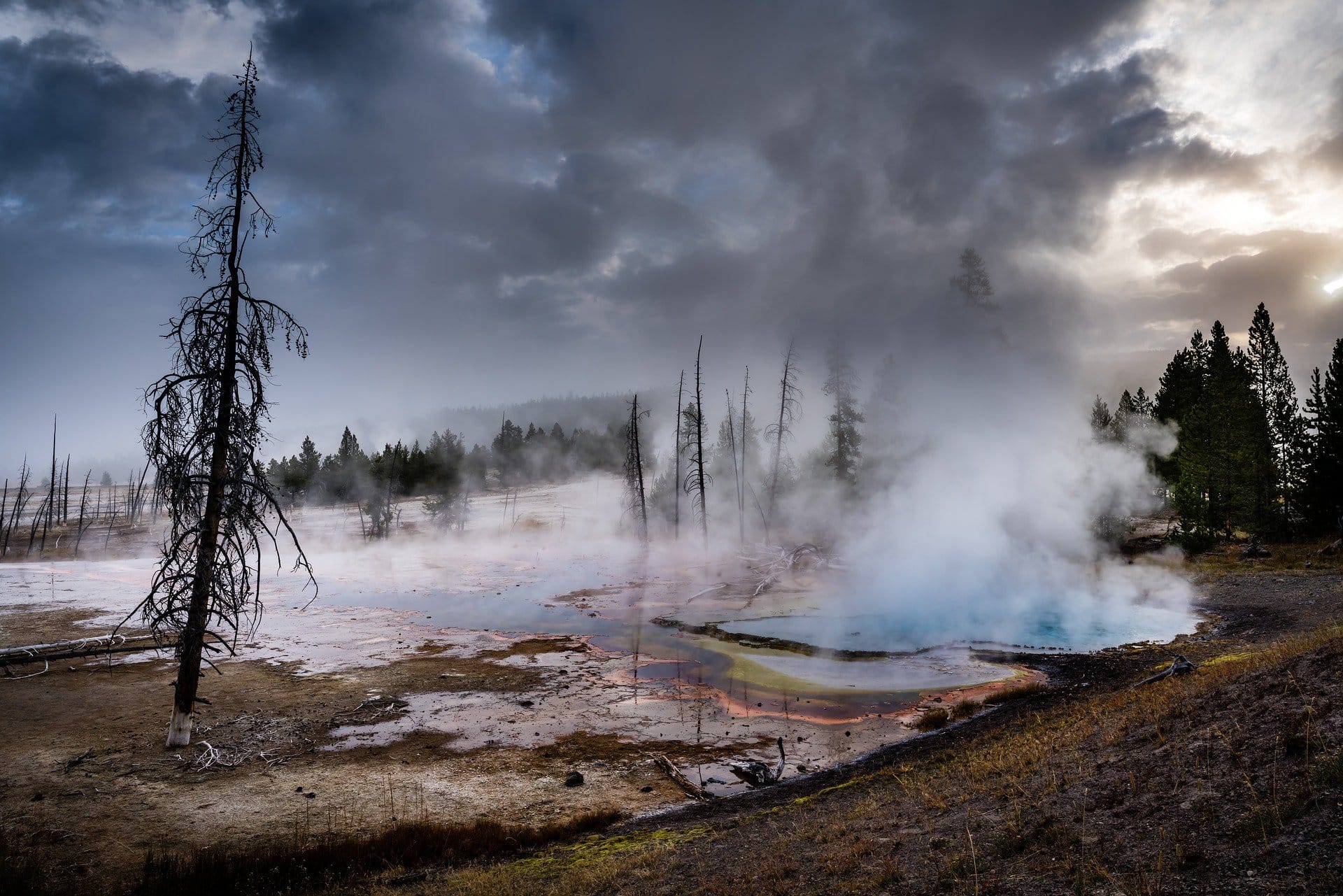 Príroda Yellowstonského parku rázne ovplyvnená supervulkánom, ktorý sa pod ňou nachádza.