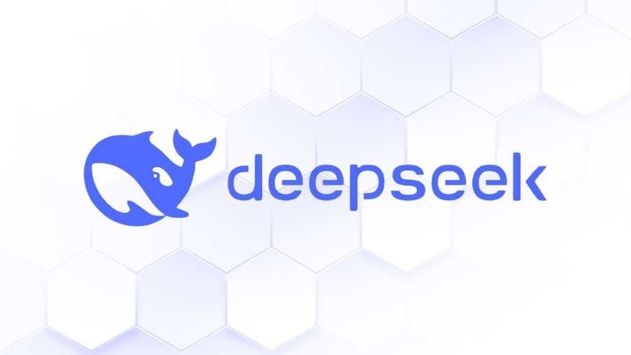 DeepSeek platforma.