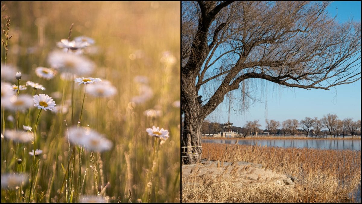 Najsuchšia jar za posledné roky.