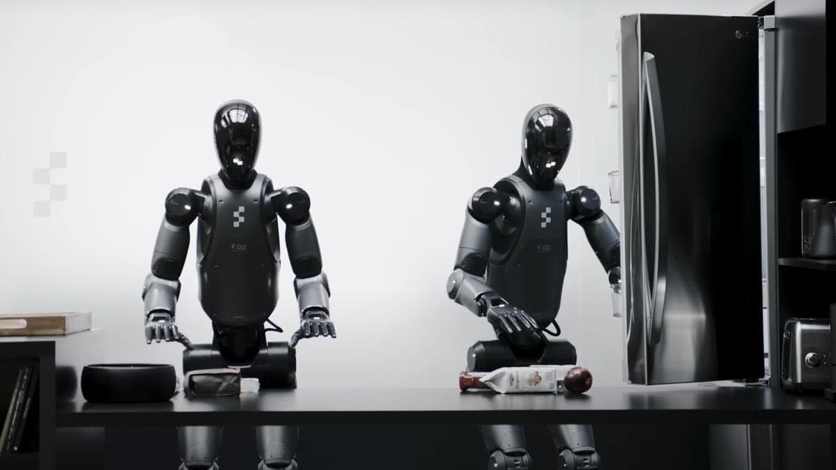 Humanoidný robot Helix.