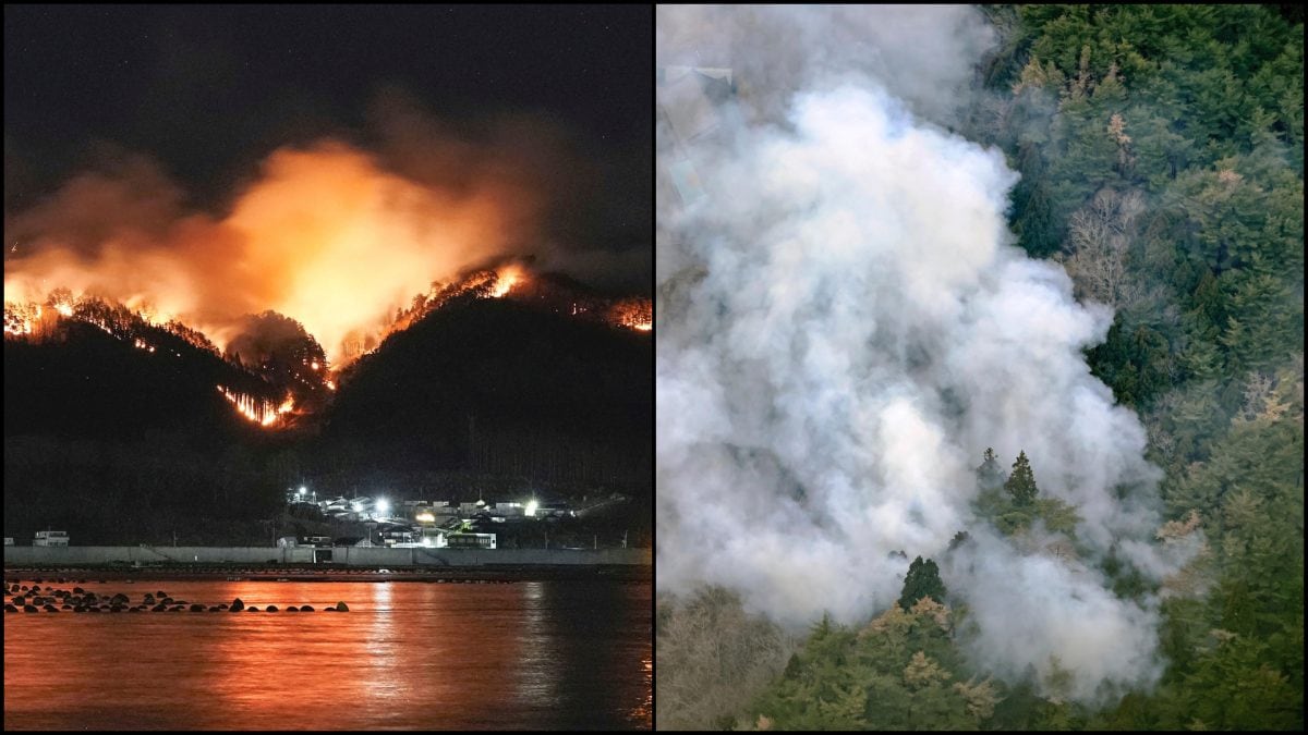 Japonsko pohltili lesné požiare.