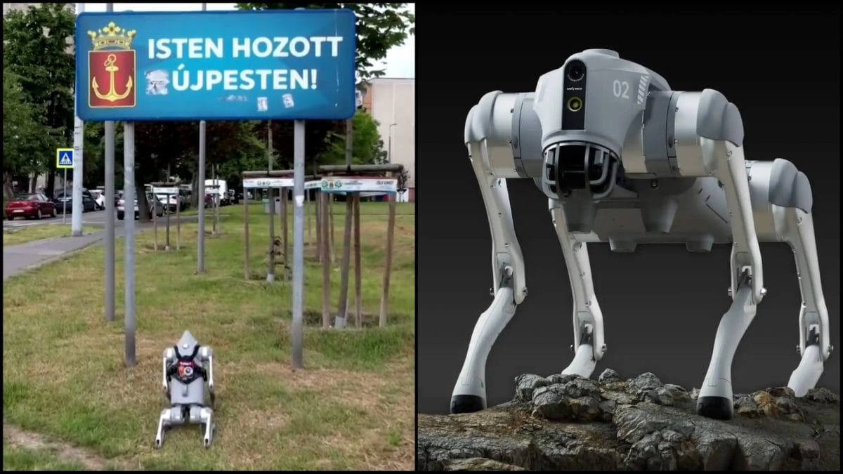 Unitree robotický pes