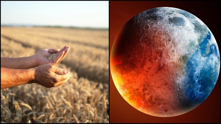 pestovanie a klimatická zmena