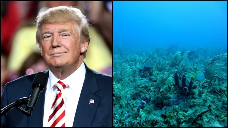 Trump a oceán