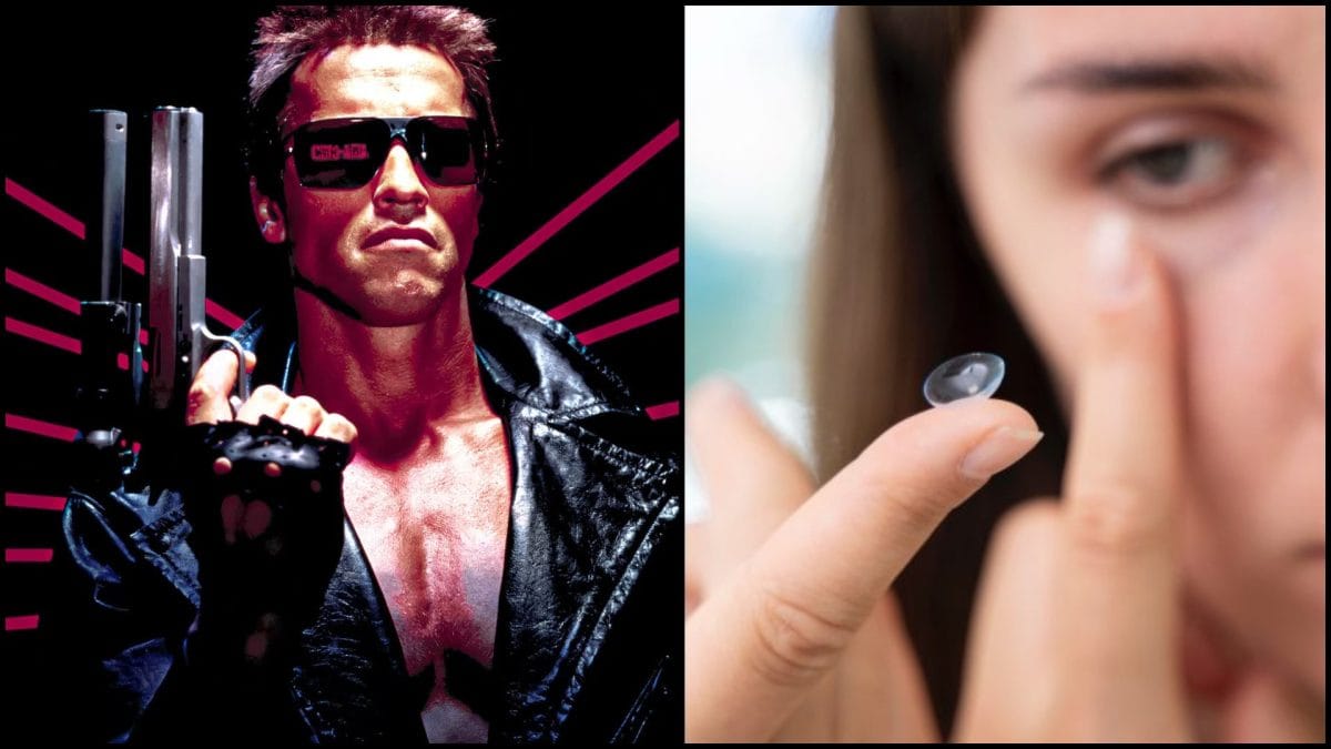 sosovky a terminator