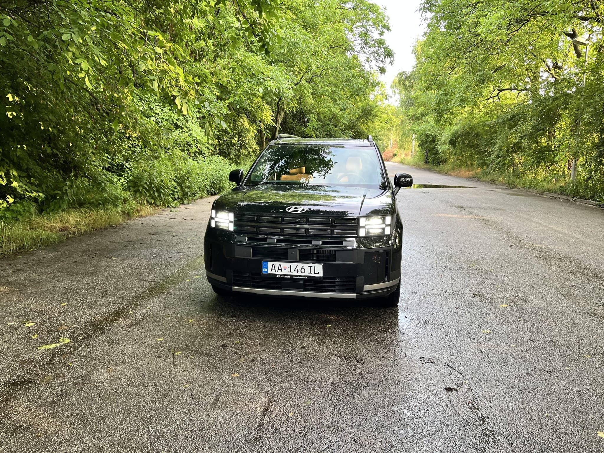 Na obrázku je Hyundai Santa Fe Hybrid z roku 2025.