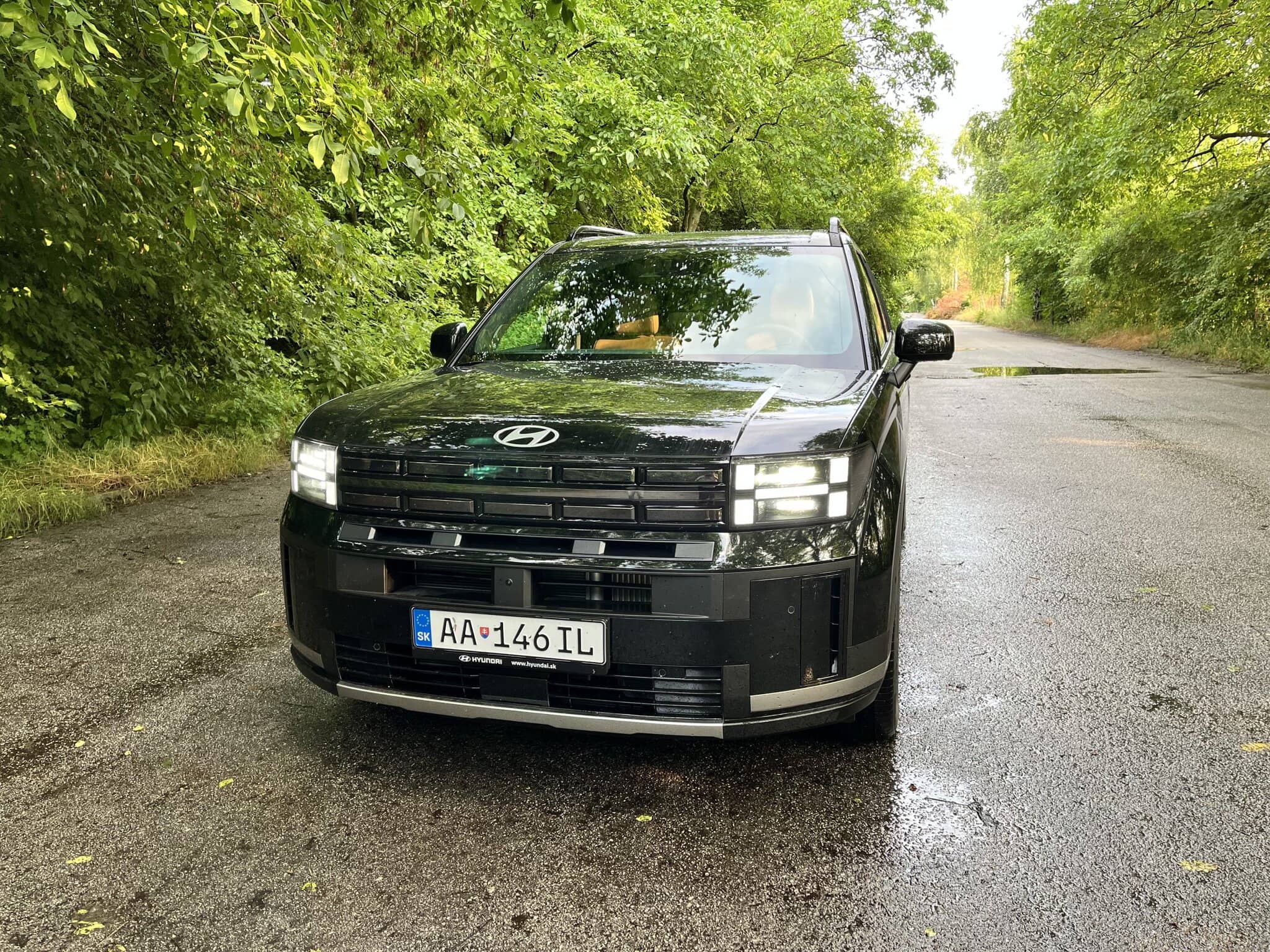 Na obrázku je Hyundai Santa Fe Hybrid z roku 2025.