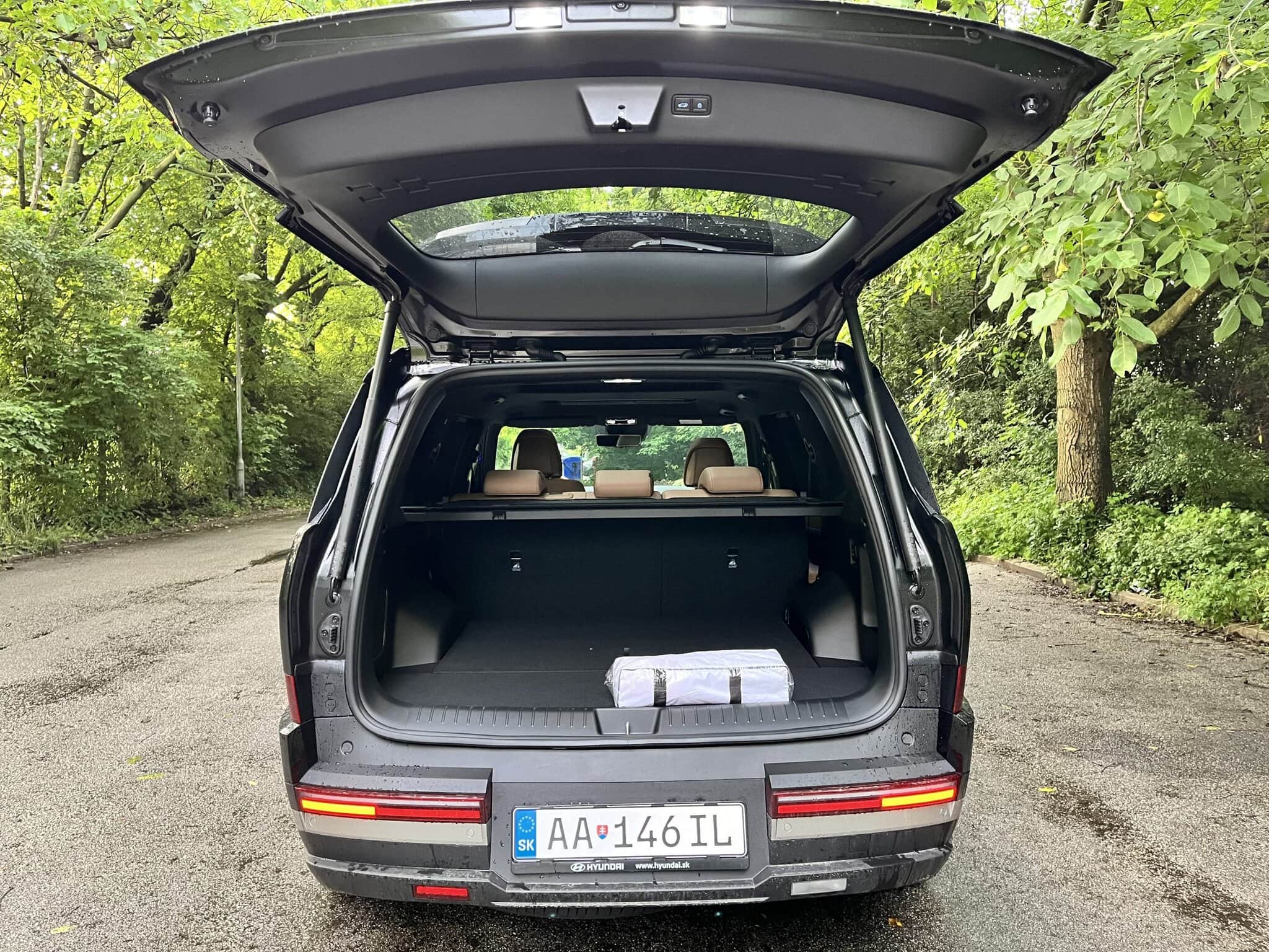 Na obrázku je Hyundai Santa Fe Hybrid z roku 2025.