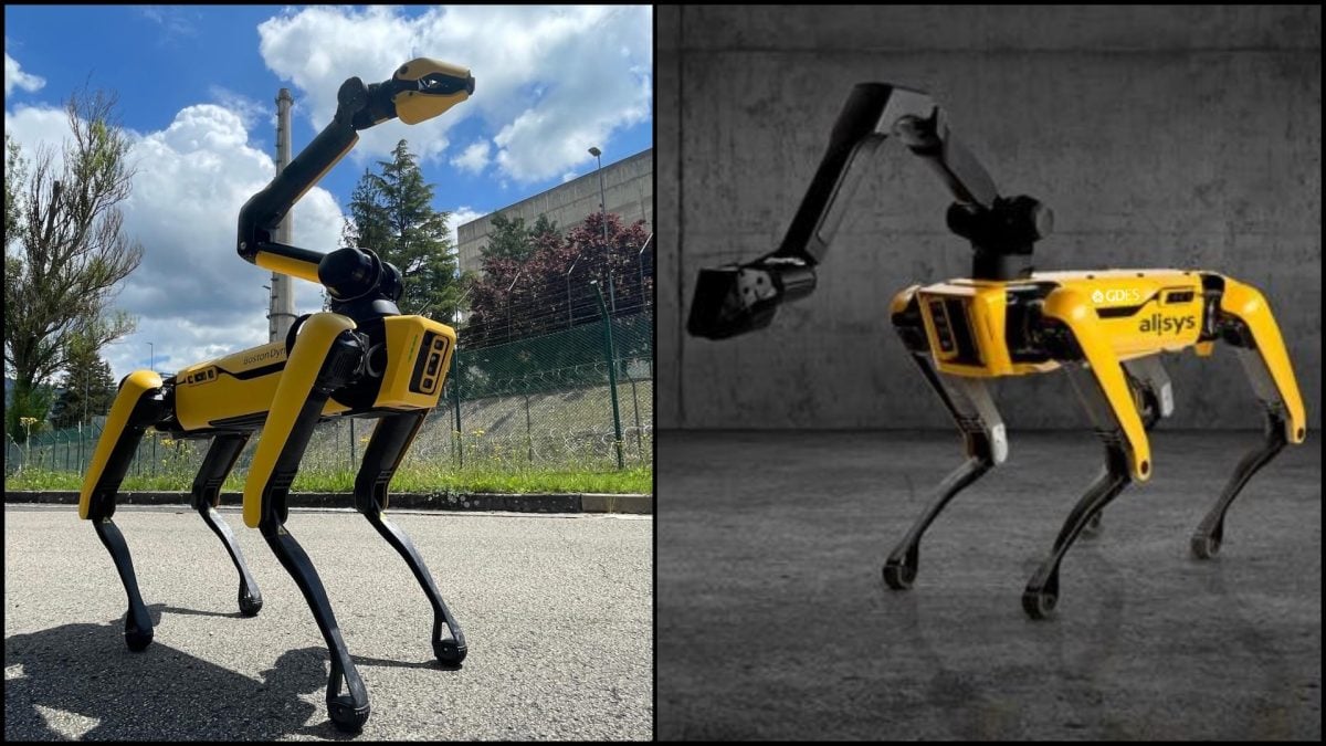 robotický pes Spot