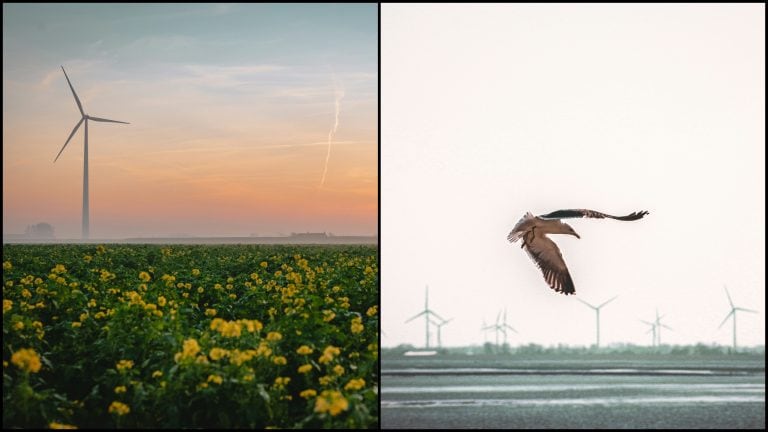 veterná energia