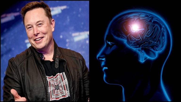 Musk a ilustrácia mozgu