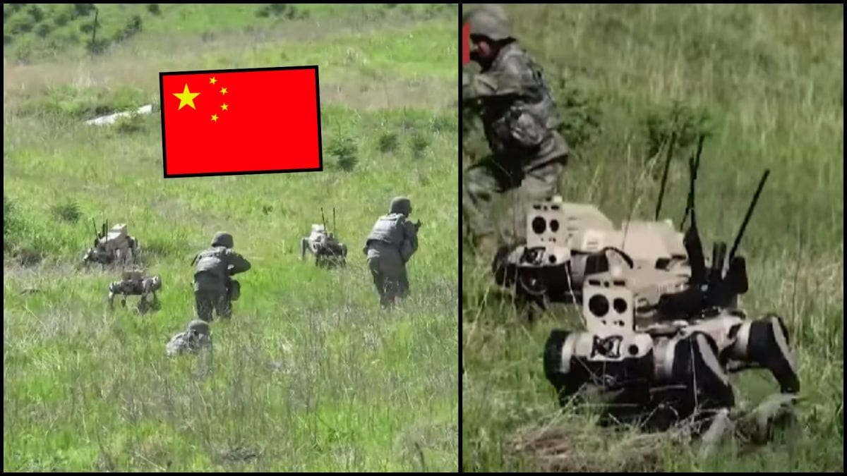 čína robotické psy armáda