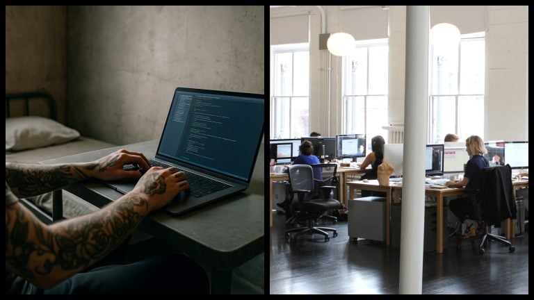 cela programovanie startup