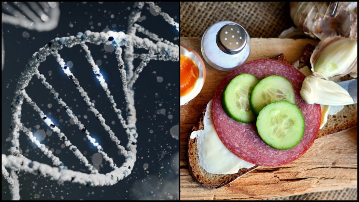 Nová štúdia šokuje: Bežná surovina, ktorú má v chladničke každý Slovák, skracuje život Bežná potravina skracuje život, varuje štúdia