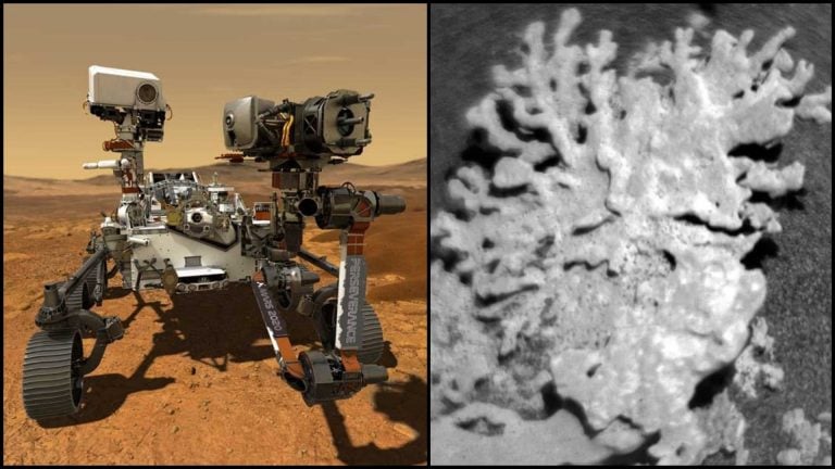 koral na marse a rover