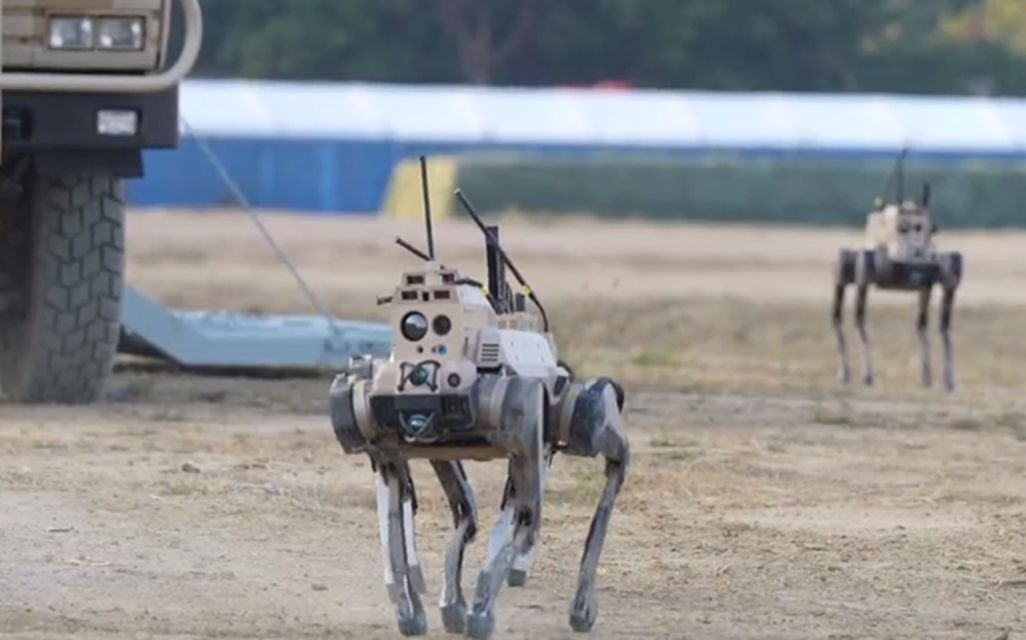 Armádny robovlk