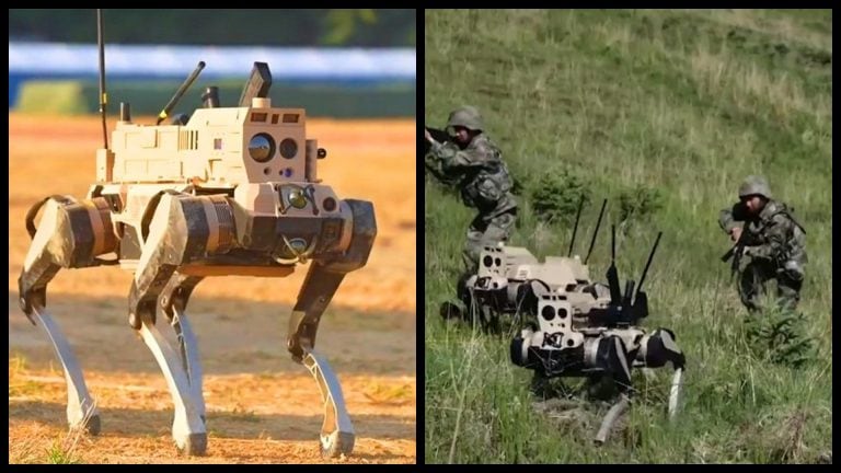 Cina armada robotika vlk