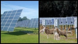 solarne ovce