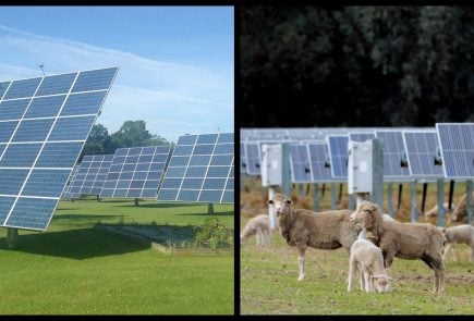 solarne ovce