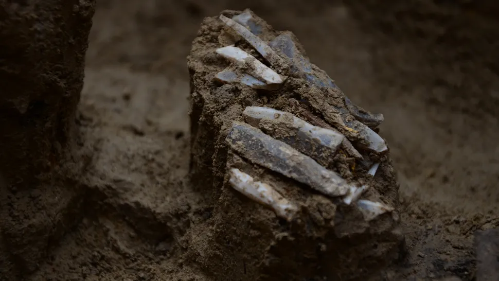 archeologický objav v Česku