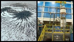 MagLab magnet