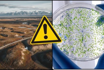 permafrost a mikróby