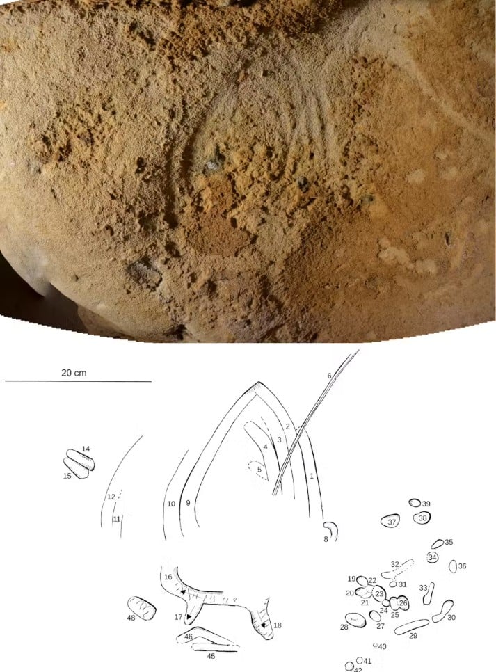vedci našli 64 000 rokov starú kresbu