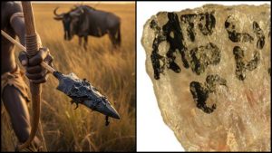 vedecký objav o histórii ľudí