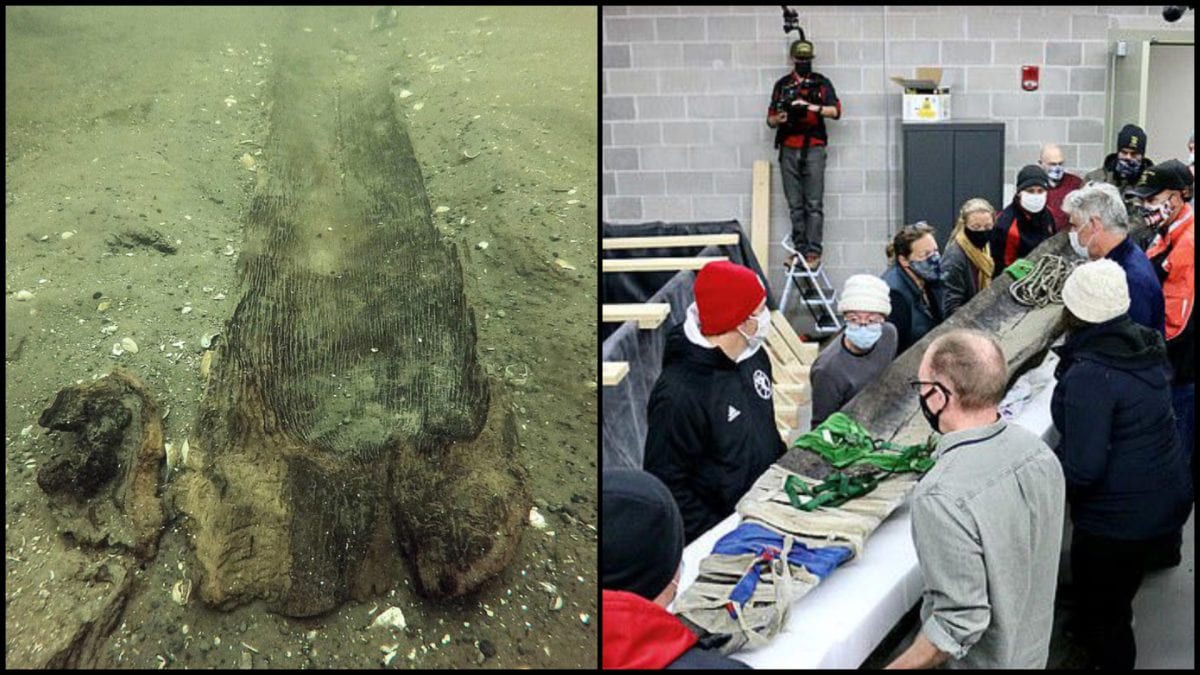 výnimočný objav v Amerike