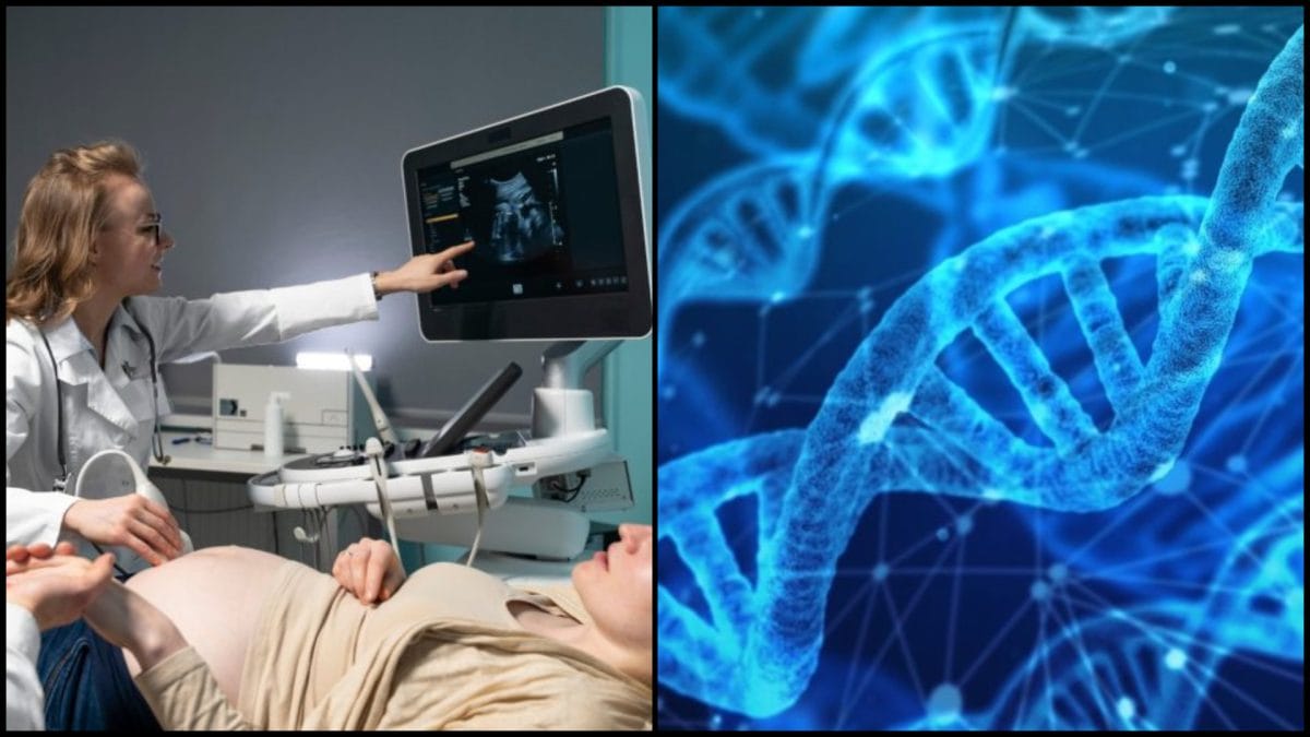 Vedci odhalili skutočný kľúč k dlhovekosti