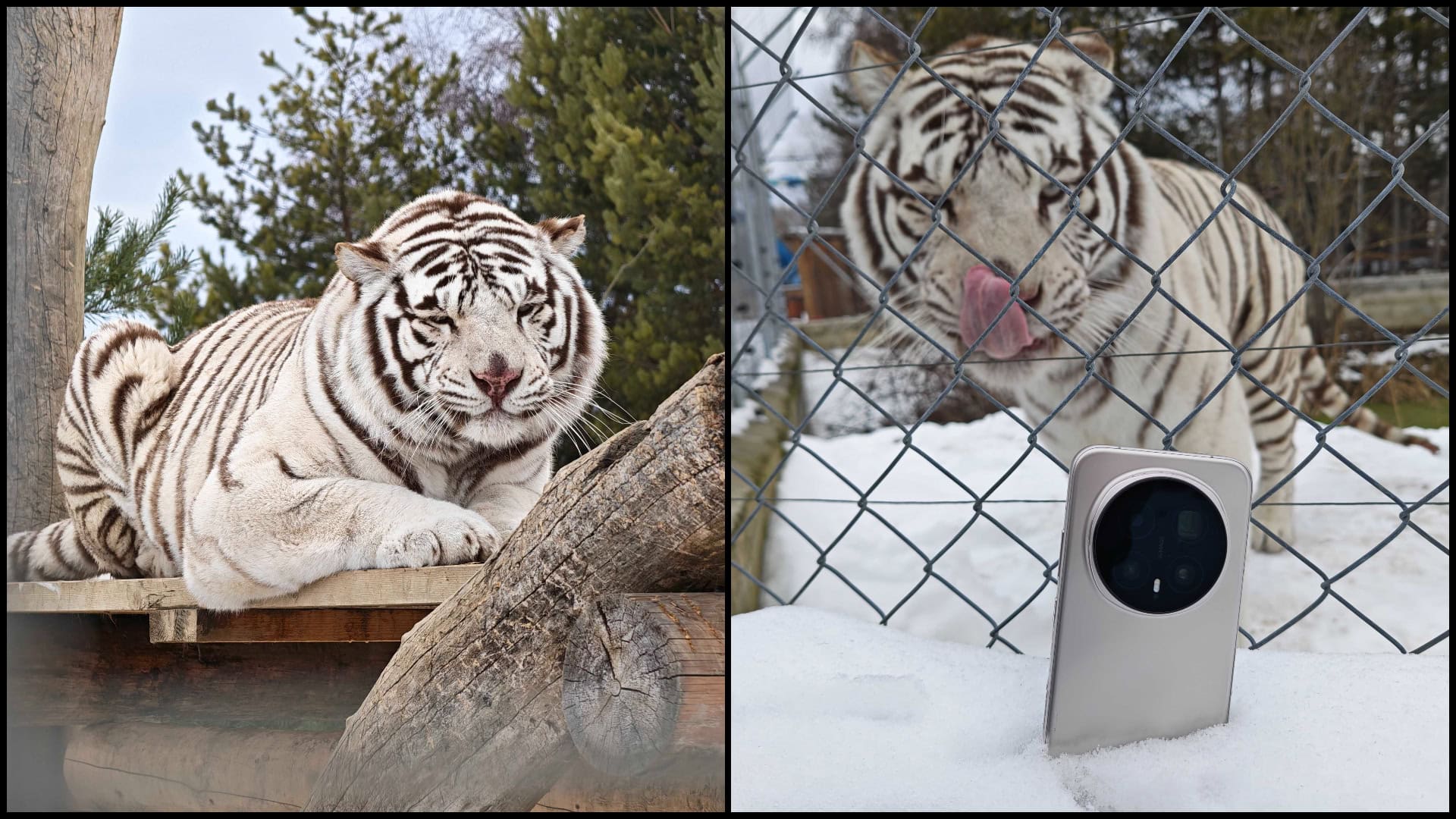 HONOR Magic8 Pro recenzia