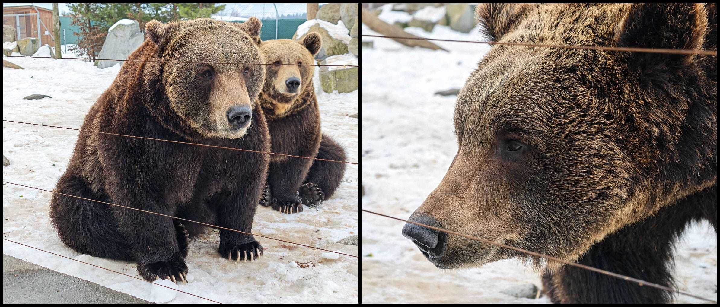 HONOR Magic8 Pro recenzia