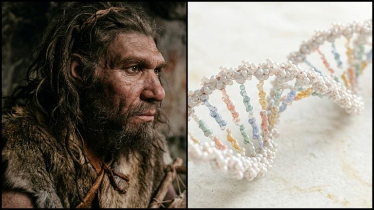 Vedci skúmali 122 000 rokov starú DNA