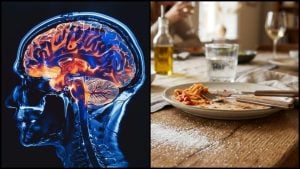 Základná ingrediencia poškodzuje pamäť