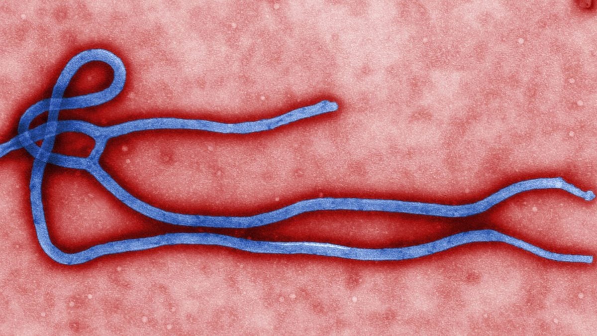 Ebola WHO varovanie