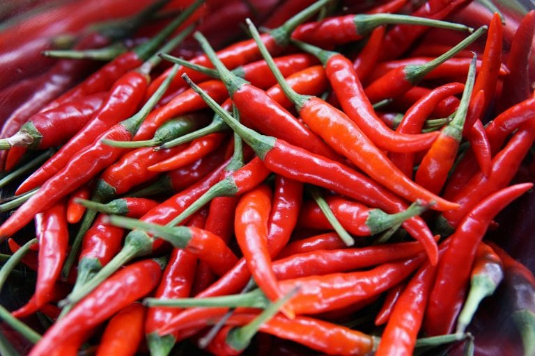 čili paprika