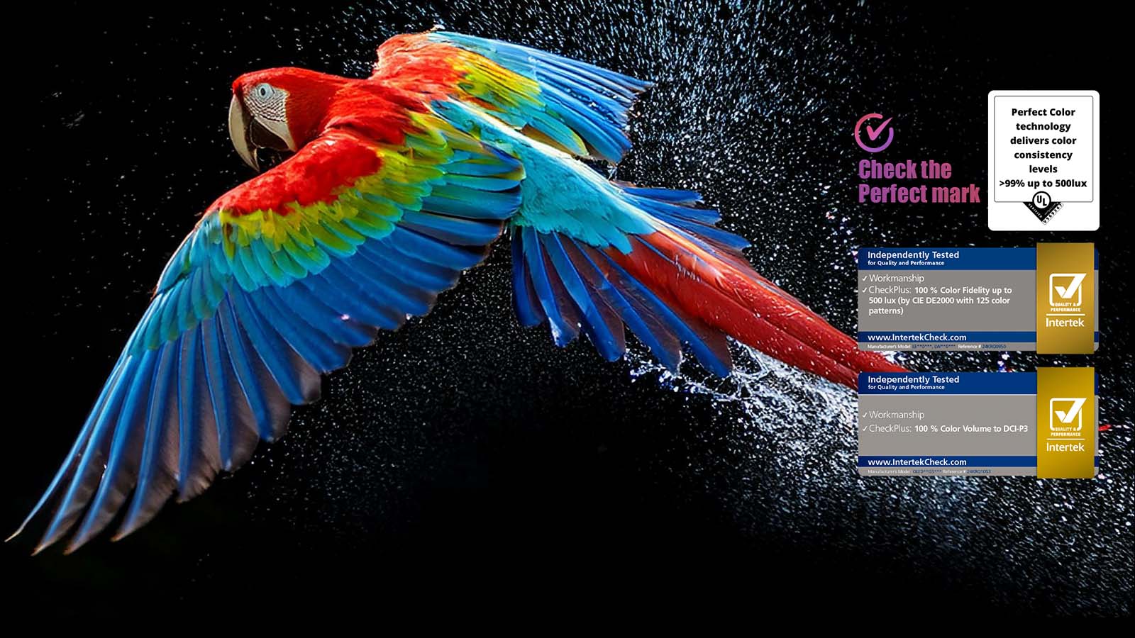 oled lg