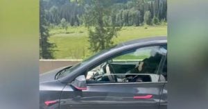 Tesla driver sleeping behind the wheel with autopilot on