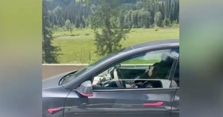 Tesla driver sleeping behind the wheel with autopilot on