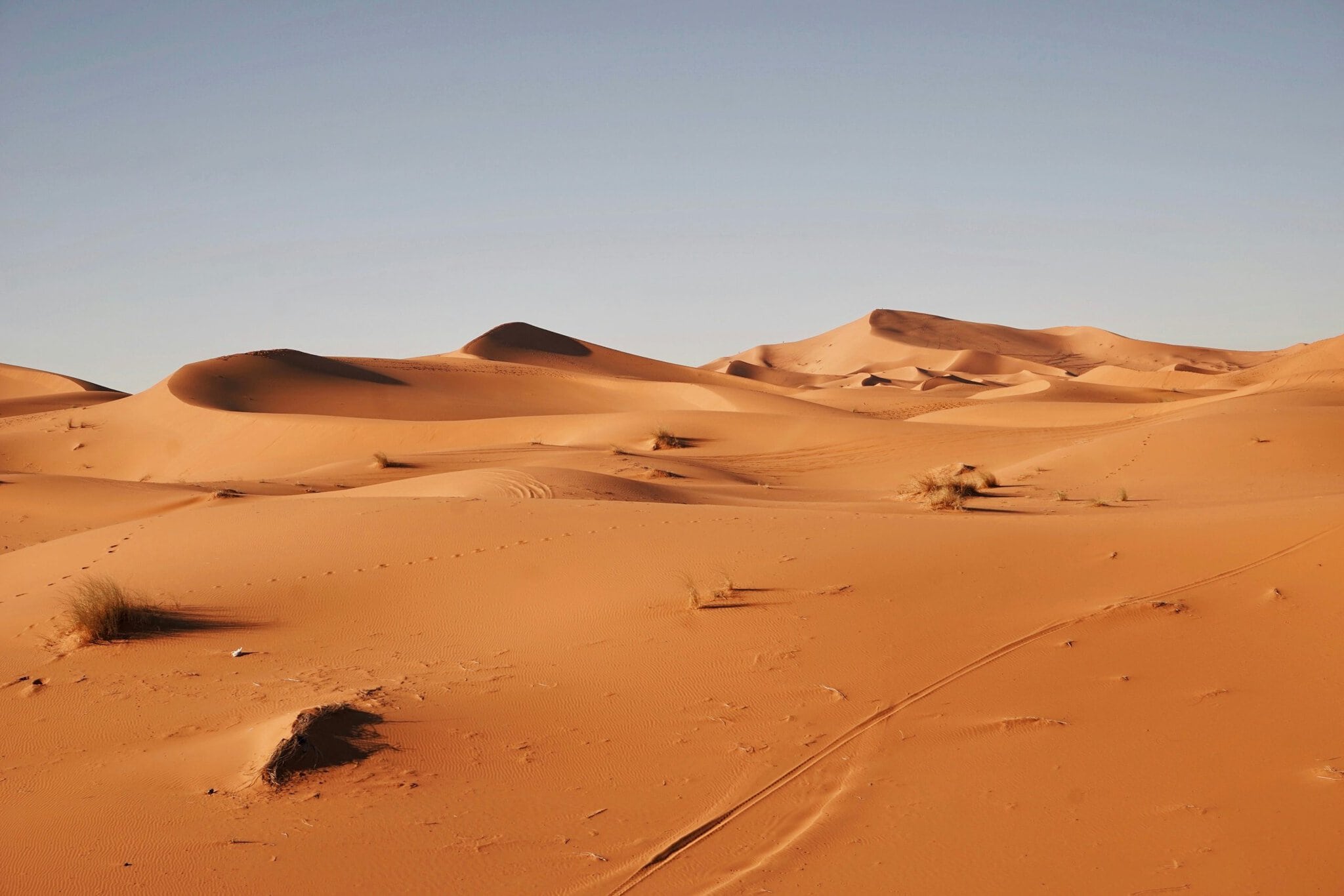 sahara piesok