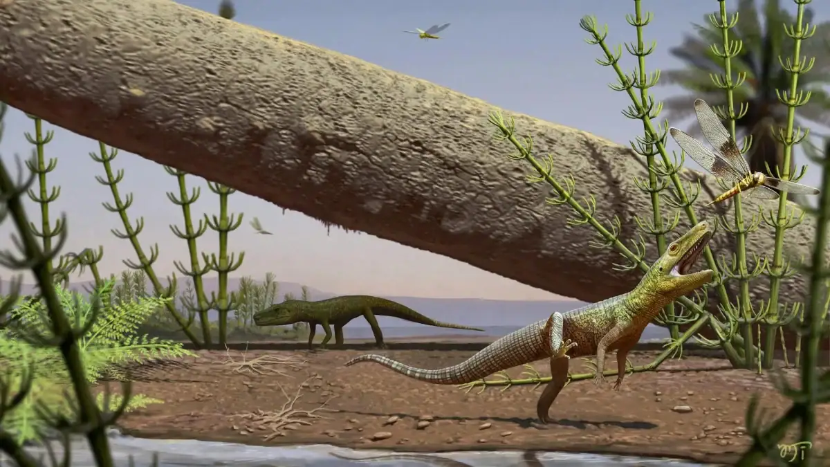 Žil ešte pred dinosaurami. Vedci našli 240 miliónov rokov starého predátora, toto ešte nevideli Zabudnutý predok dinosaurov? 240-miliónový nález mení pohľad na históriu Zeme